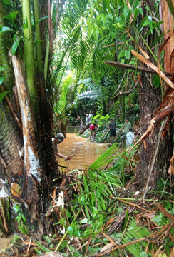 Sektor Mesopotamia Jemaat Halong dan AMGPM Ranting 3 melakukan Kegiatan Bersih lingkungan pada Air Hongi dan Wai&nbsp;Metang